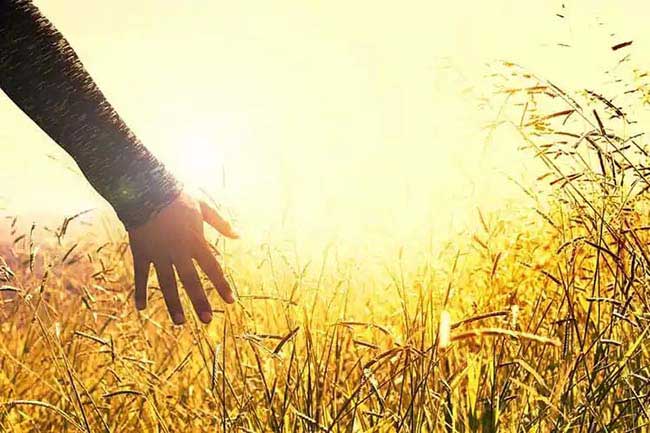 Sustainability Quotes